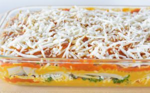 Dairy Free Lasagna Recipes