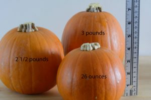 How to choose the right pumpkin for a pumpkin pie