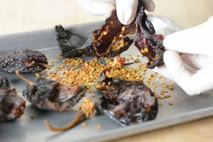 Gluten free Hooked On Mole Recipes
