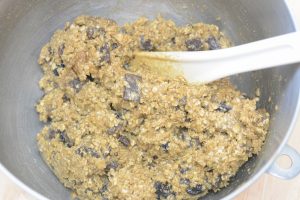 Gluten Free Oatmeal Cookie Recipes