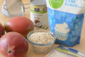 Gluten Free Coconut Tapioca Pudding Recipe